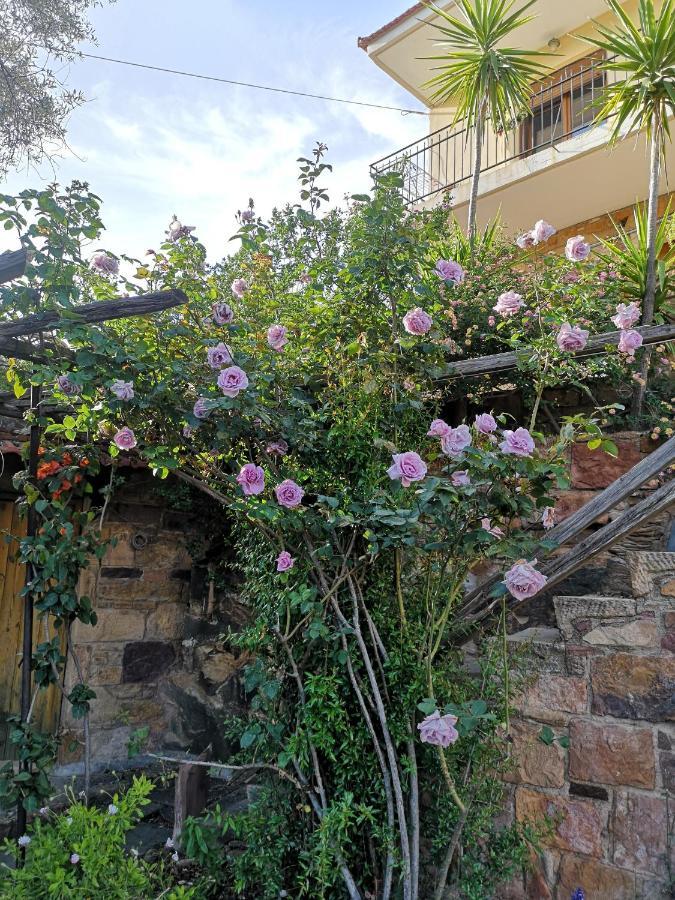 Stenakas Agia Ermioni Exterior foto